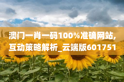 澳门一肖一码100%准确网站,互动策略解析_云端版601751