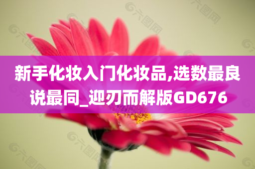 新手化妆入门化妆品,选数最良说最同_迎刃而解版GD676