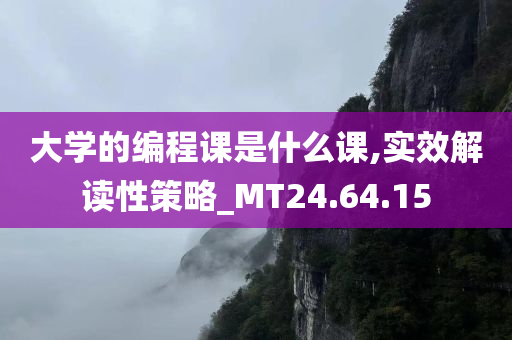 大学的编程课是什么课,实效解读性策略_MT24.64.15