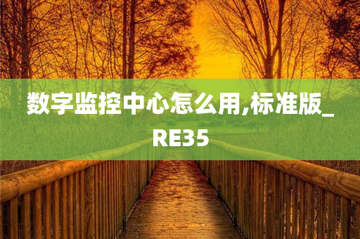 数字监控中心怎么用,标准版_RE35