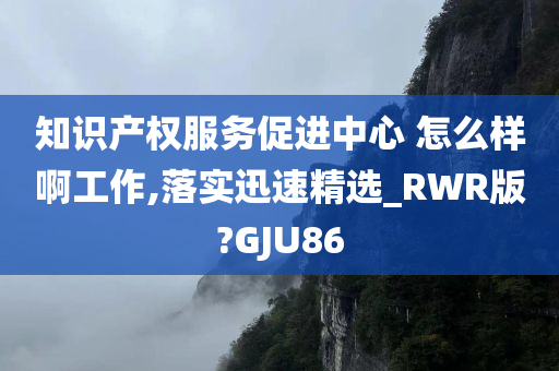 知识产权服务促进中心 怎么样啊工作,落实迅速精选_RWR版?GJU86