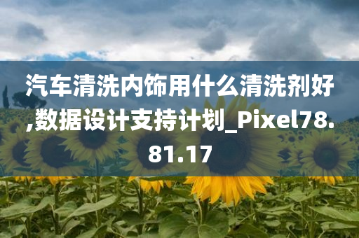 汽车清洗内饰用什么清洗剂好,数据设计支持计划_Pixel78.81.17