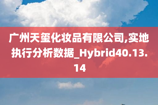 广州天玺化妆品有限公司,实地执行分析数据_Hybrid40.13.14