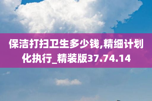 保洁打扫卫生多少钱,精细计划化执行_精装版37.74.14