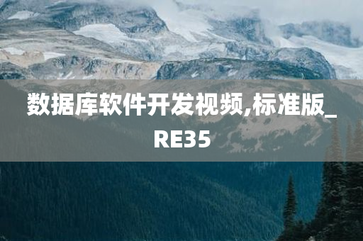 数据库软件开发视频,标准版_RE35