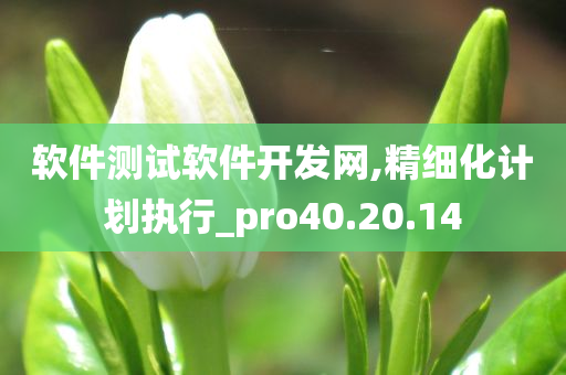 软件测试软件开发网,精细化计划执行_pro40.20.14