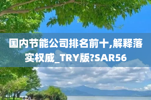 国内节能公司排名前十,解释落实权威_TRY版?SAR56