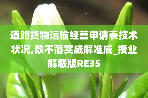 道路货物运输经营申请表技术状况,数不落实威解准威_授业解惑版RE35