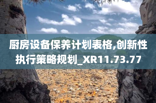 厨房设备保养计划表格,创新性执行策略规划_XR11.73.77