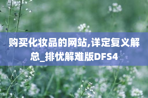 购买化妆品的网站,详定复义解总_排忧解难版DFS4