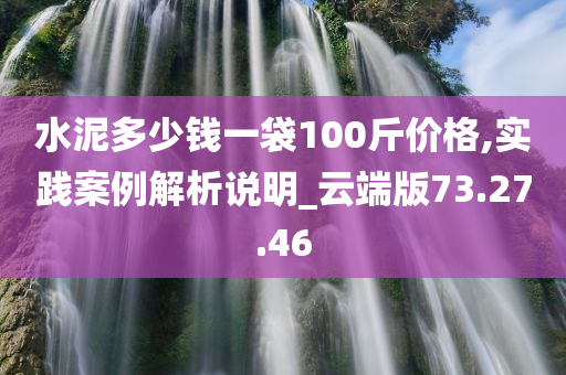 水泥多少钱一袋100斤价格,实践案例解析说明_云端版73.27.46