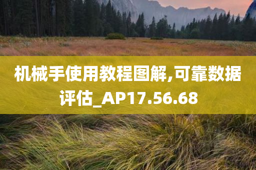 机械手使用教程图解,可靠数据评估_AP17.56.68