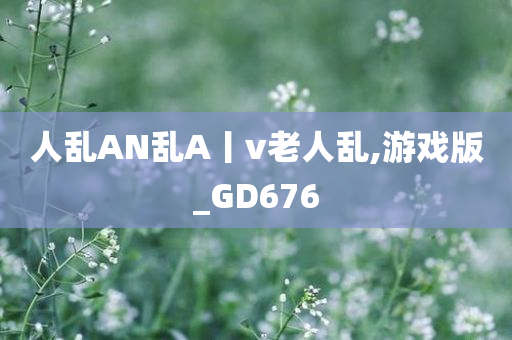 人乱AN乱A丨v老人乱,游戏版_GD676