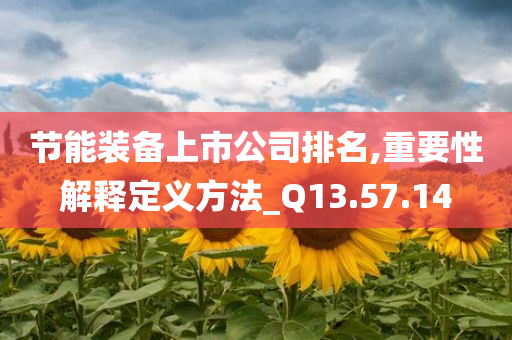 节能装备上市公司排名,重要性解释定义方法_Q13.57.14