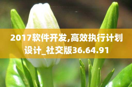 2017软件开发,高效执行计划设计_社交版36.64.91