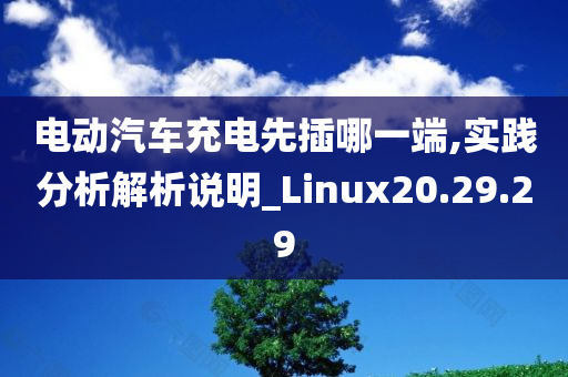 电动汽车充电先插哪一端,实践分析解析说明_Linux20.29.29