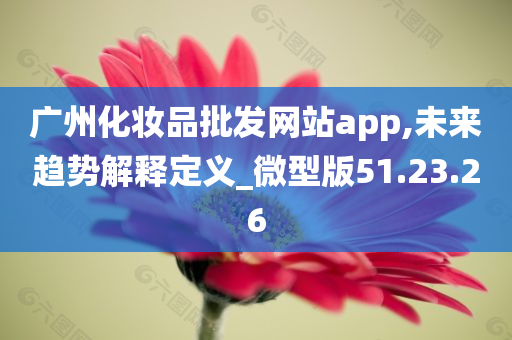 广州化妆品批发网站app,未来趋势解释定义_微型版51.23.26