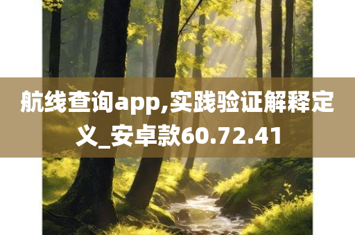 航线查询app,实践验证解释定义_安卓款60.72.41