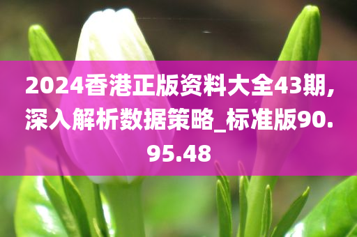 2024香港正版资料大全43期,深入解析数据策略_标准版90.95.48