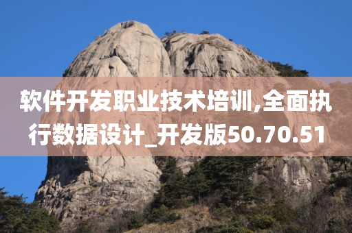 软件开发职业技术培训,全面执行数据设计_开发版50.70.51