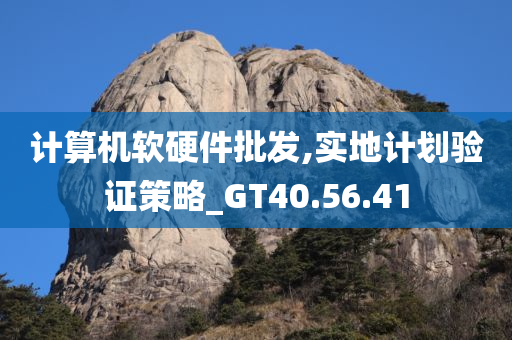 计算机软硬件批发,实地计划验证策略_GT40.56.41