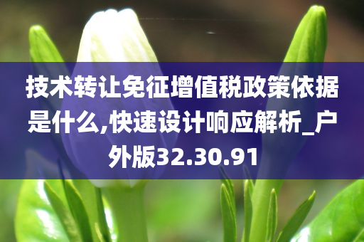 技术转让免征增值税政策依据是什么,快速设计响应解析_户外版32.30.91