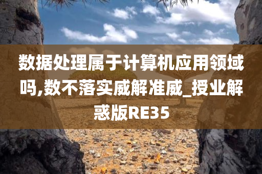 数据处理属于计算机应用领域吗,数不落实威解准威_授业解惑版RE35