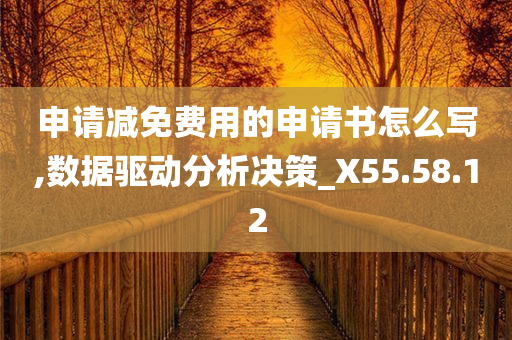 申请减免费用的申请书怎么写,数据驱动分析决策_X55.58.12