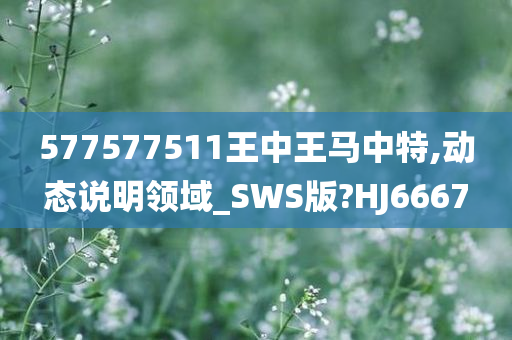 577577511王中王马中特,动态说明领域_SWS版?HJ6667