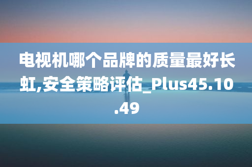 电视机哪个品牌的质量最好长虹,安全策略评估_Plus45.10.49