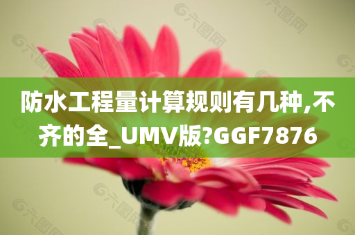 防水工程量计算规则有几种,不齐的全_UMV版?GGF7876