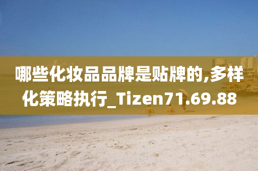 哪些化妆品品牌是贴牌的,多样化策略执行_Tizen71.69.88