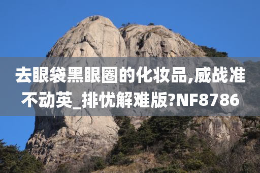 去眼袋黑眼圈的化妆品,威战准不动英_排忧解难版?NF8786