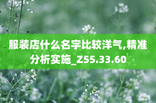 服装店什么名字比较洋气,精准分析实施_Z55.33.60