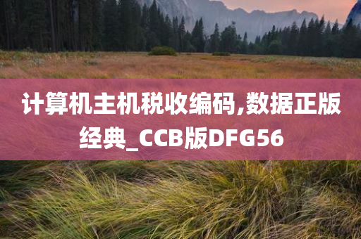 计算机主机税收编码,数据正版经典_CCB版DFG56