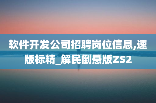 软件开发公司招聘岗位信息,速版标精_解民倒悬版ZS2