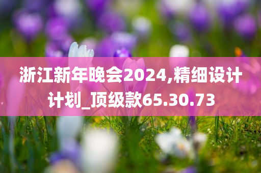 浙江新年晚会2024,精细设计计划_顶级款65.30.73