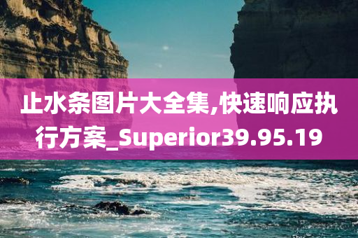 止水条图片大全集,快速响应执行方案_Superior39.95.19