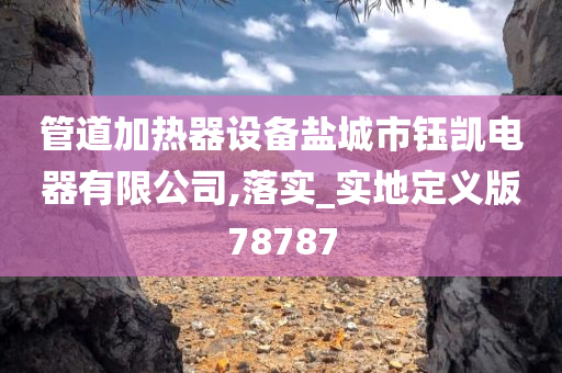 管道加热器设备盐城市钰凯电器有限公司,落实_实地定义版78787