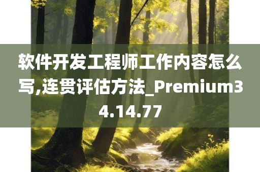 软件开发工程师工作内容怎么写,连贯评估方法_Premium34.14.77