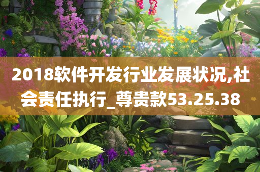 2018软件开发行业发展状况,社会责任执行_尊贵款53.25.38