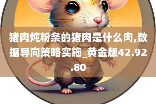 猪肉炖粉条的猪肉是什么肉,数据导向策略实施_黄金版42.92.80