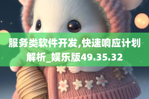 服务类软件开发,快速响应计划解析_娱乐版49.35.32