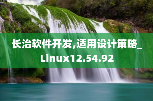 长治软件开发,适用设计策略_Linux12.54.92