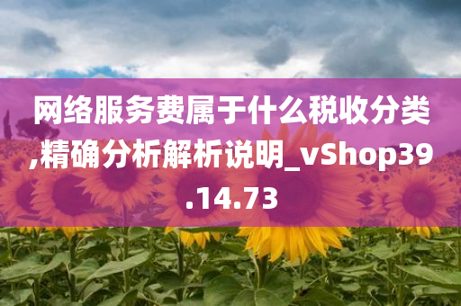 网络服务费属于什么税收分类,精确分析解析说明_vShop39.14.73