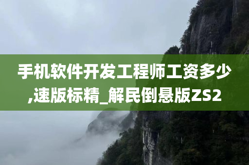 手机软件开发工程师工资多少,速版标精_解民倒悬版ZS2