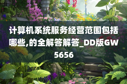 计算机系统服务经营范围包括哪些,的全解答解答_DD版GW5656