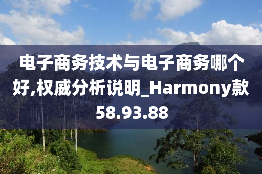 电子商务技术与电子商务哪个好,权威分析说明_Harmony款58.93.88