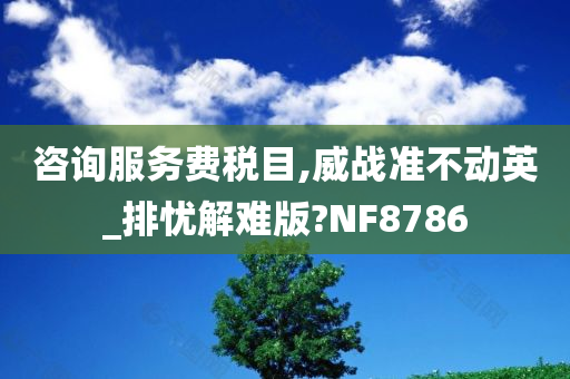 咨询服务费税目,威战准不动英_排忧解难版?NF8786