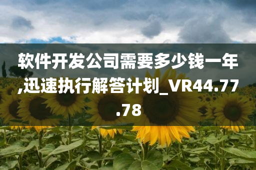 软件开发公司需要多少钱一年,迅速执行解答计划_VR44.77.78